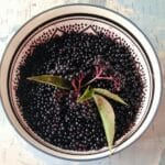 Lire la suite à propos de l’article Cueillette et sirop maison 🌿✨️